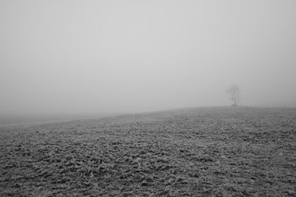 Rikard Landbergの作品一例